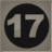 Sparkling Bronze 17