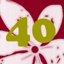 40