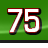 Racing 75