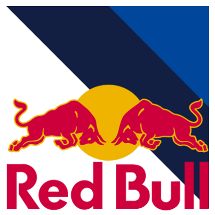 polo wrc official