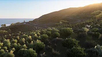 PCH